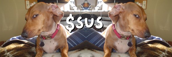 Sus Dog banner