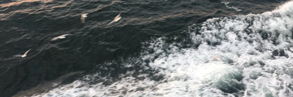 beyazgun's profile banner image