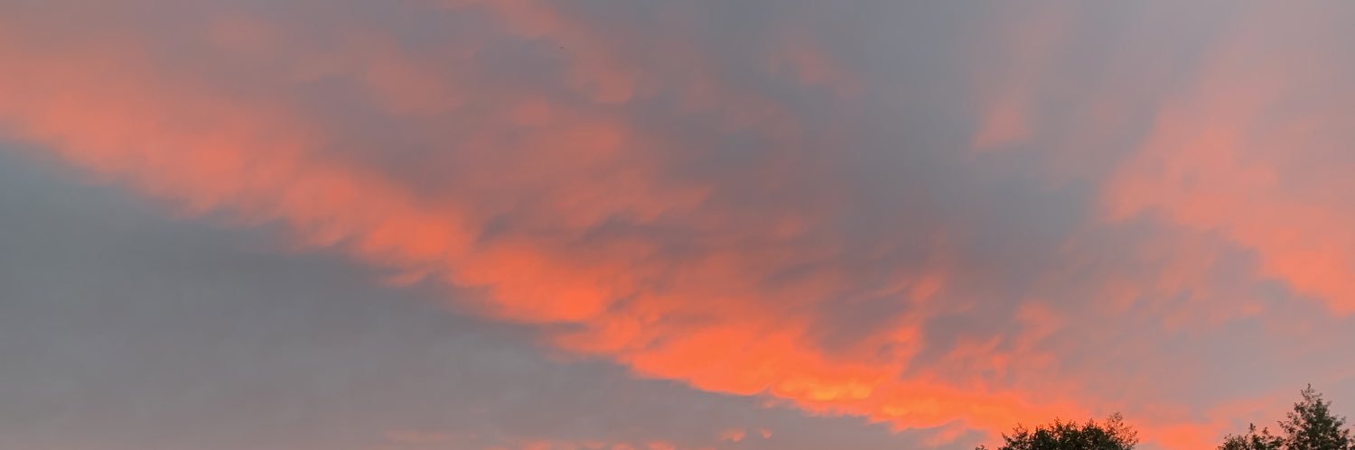 AlexIP banner