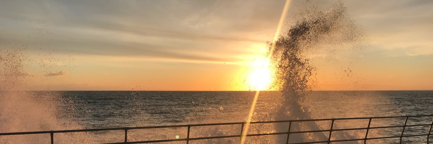 Alexander Curry banner