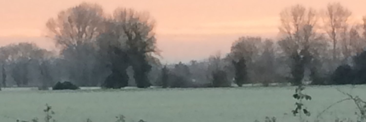 Sarah Fitt banner