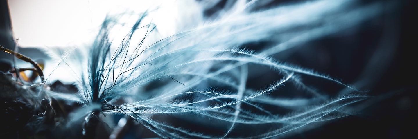 ury_blue's profile banner image