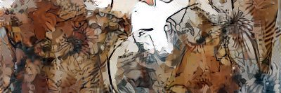 ildrzaius's profile banner image