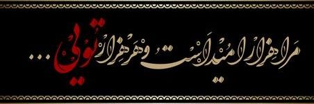 1m0rteza's profile banner image