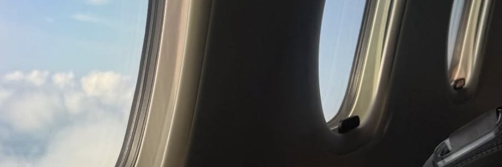 ElisaDvt's profile banner image