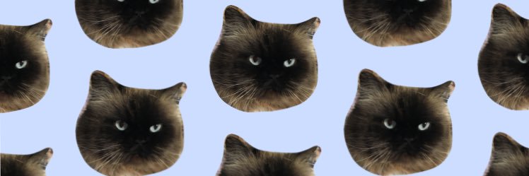 MOKOKASE's profile banner image