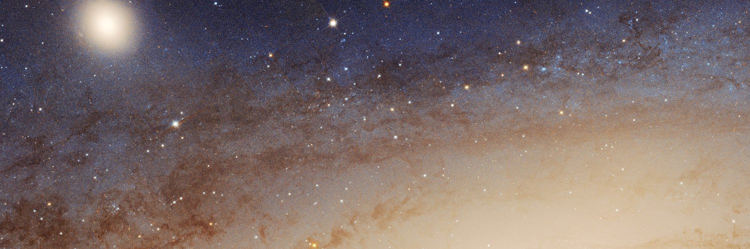 JacquiChavez7's profile banner image