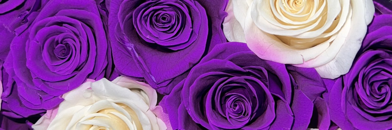 QuanoMono's profile banner image