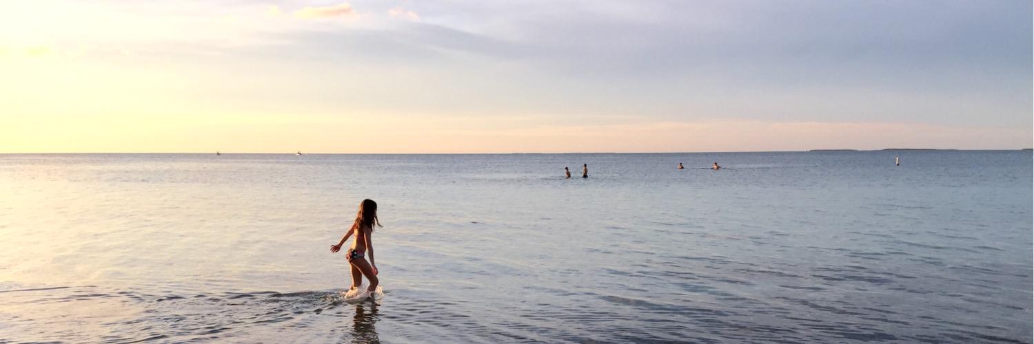 Shannon Engelken banner