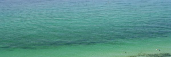 tyche_AL Profile Banner