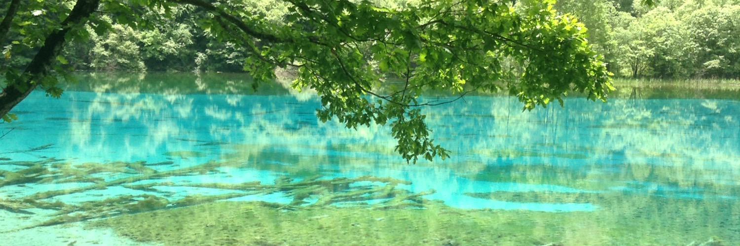 nosotan's profile banner image