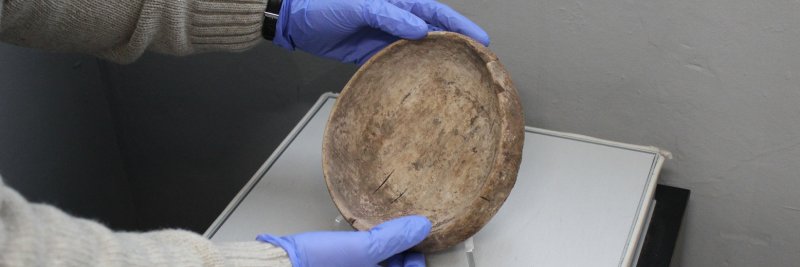 Museum Development South West banner