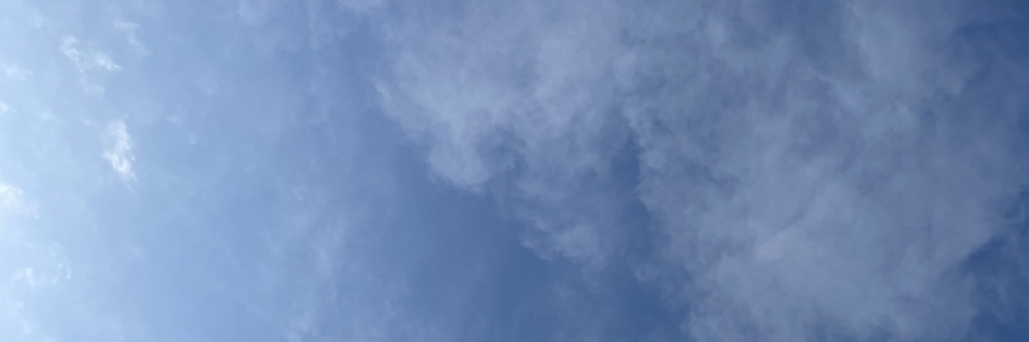 Kuinzu's profile banner image
