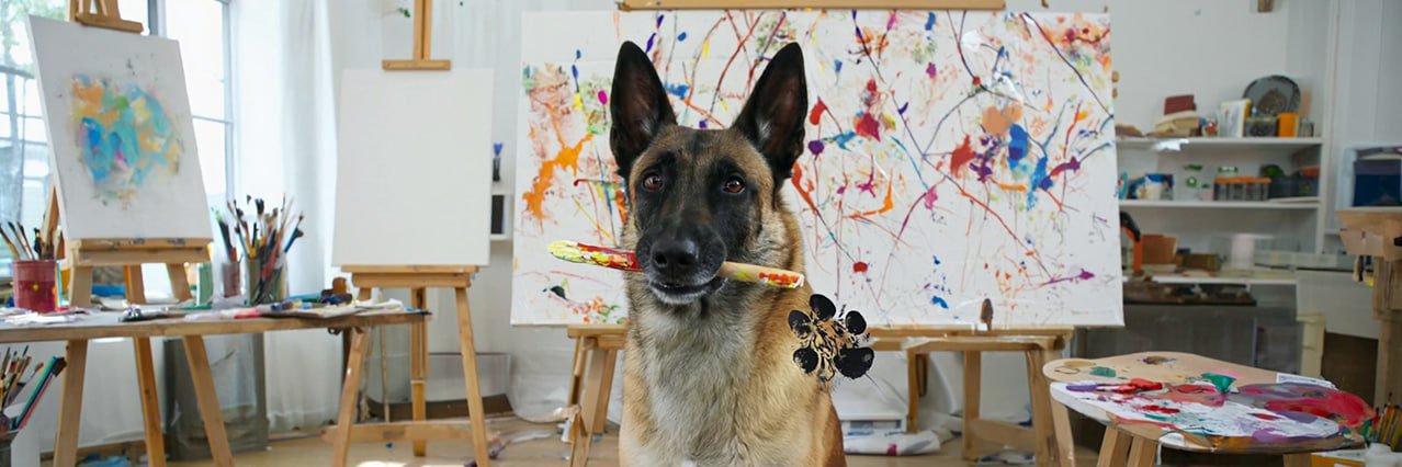 Monkey The Picasso's banner