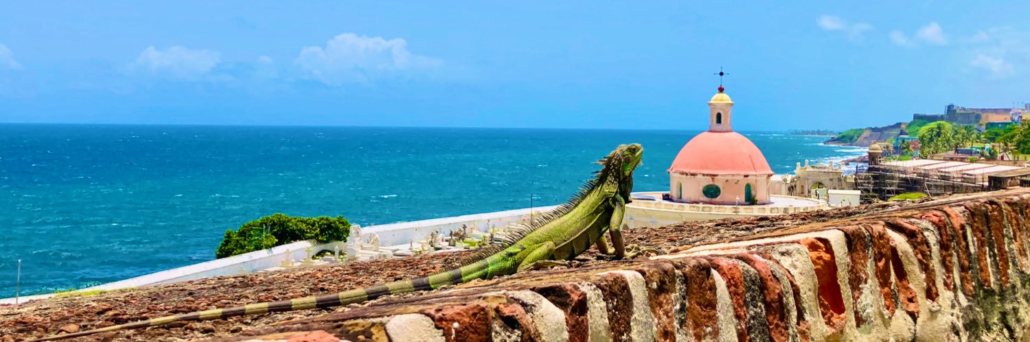 Dominique Benoit banner