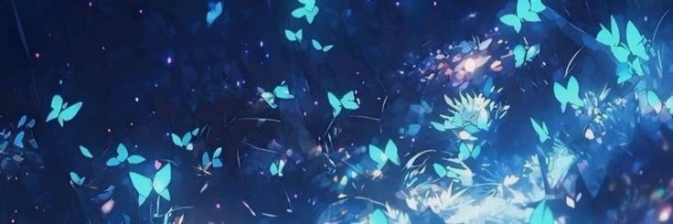 li 🦋's banner