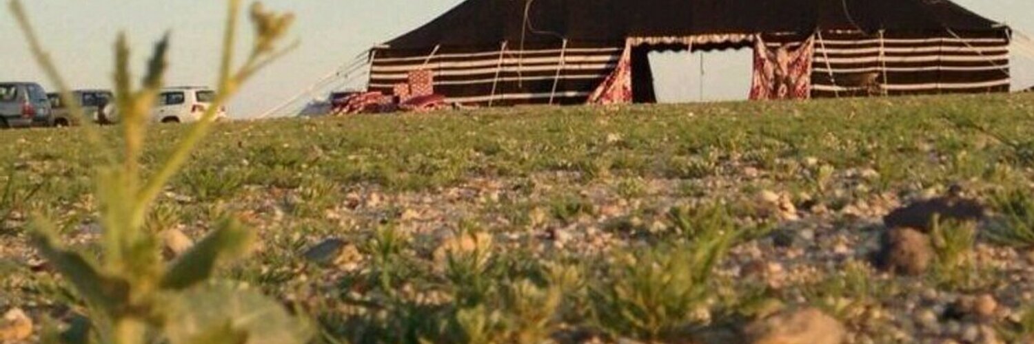 غرف استنبات الشعير on Twitter &quot;تغذيه حيوانات المزرعه على الشعير