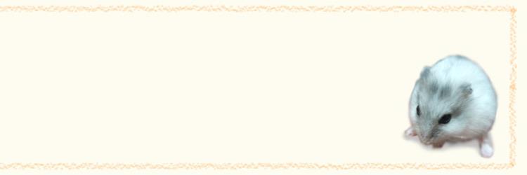 mohuryun's profile banner image