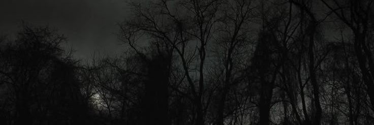 katexbatiny's profile banner image