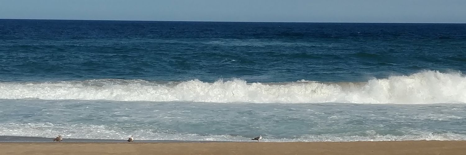 JodiAJohnson79's profile banner image