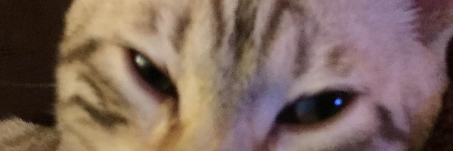 ruthlomas1's profile banner image