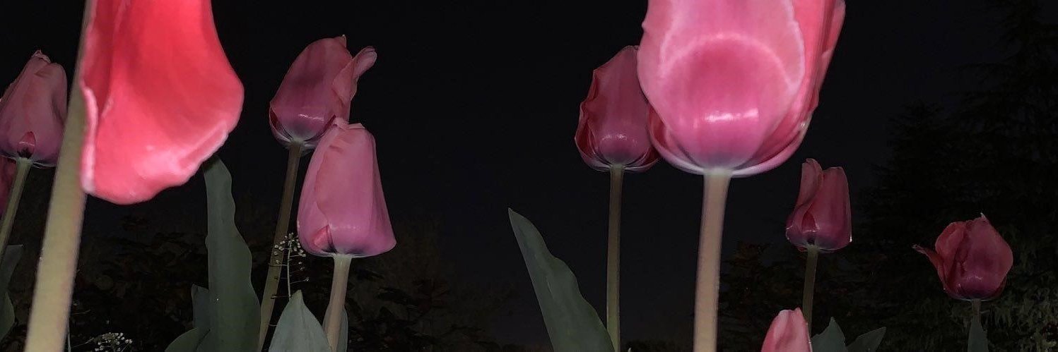 mixo19833's profile banner image