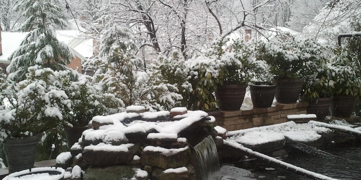 Russ Adams 🌧️🌬️☀️🌡️🌨️ banner