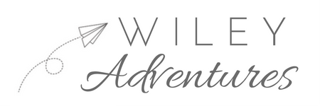 wileyadventures's profile banner image