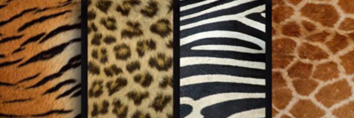 keshiyadore's profile banner image