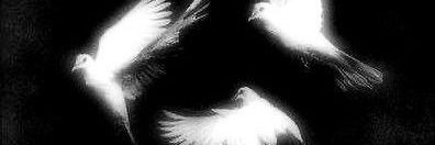 jed1738605's profile banner image