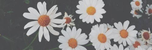 96Elena28's profile banner image