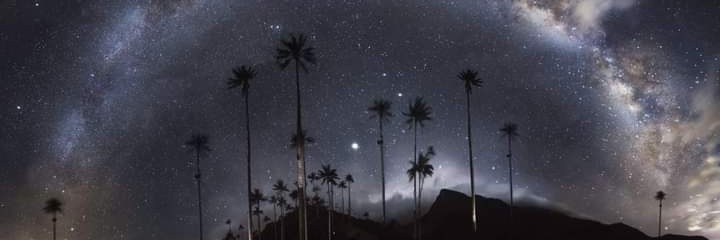 LosadaAlvares's profile banner image