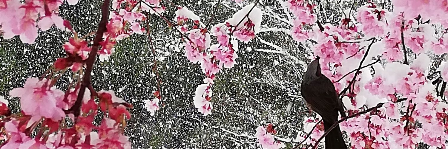 plpl0RyM's profile banner image