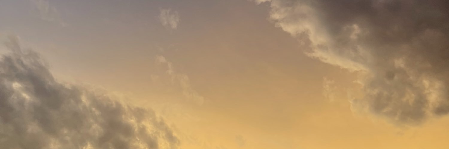 zdfal's profile banner image