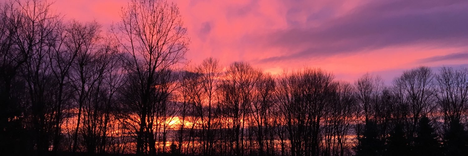 tiffanysmeyer's profile banner image