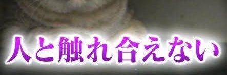 kagasta17's profile banner image