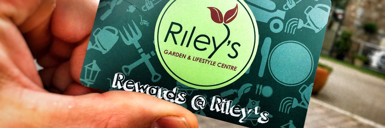 Rileys_GC's profile banner image