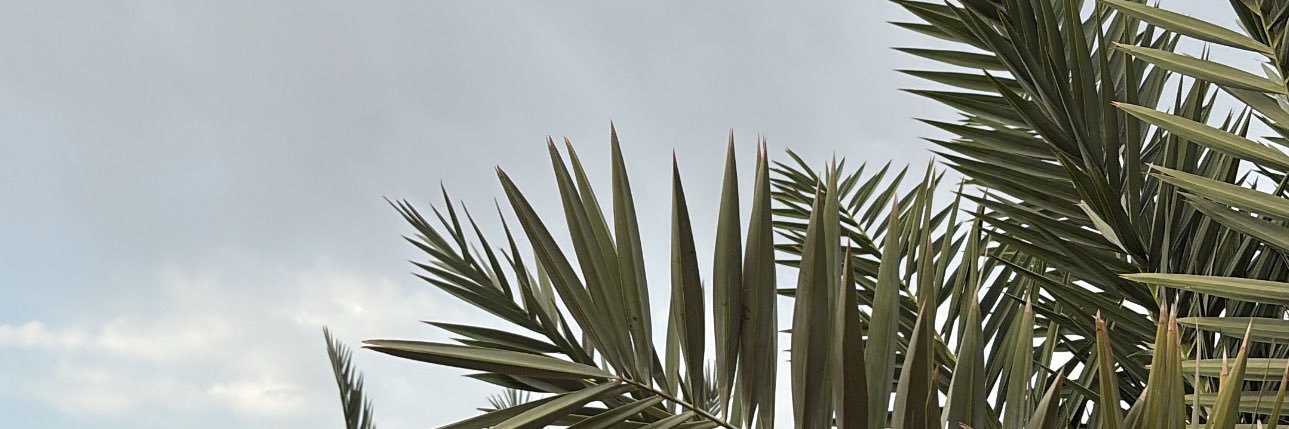 bd banner