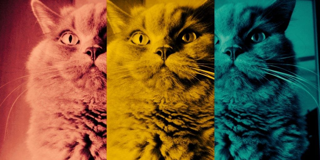 myrecc's profile banner image