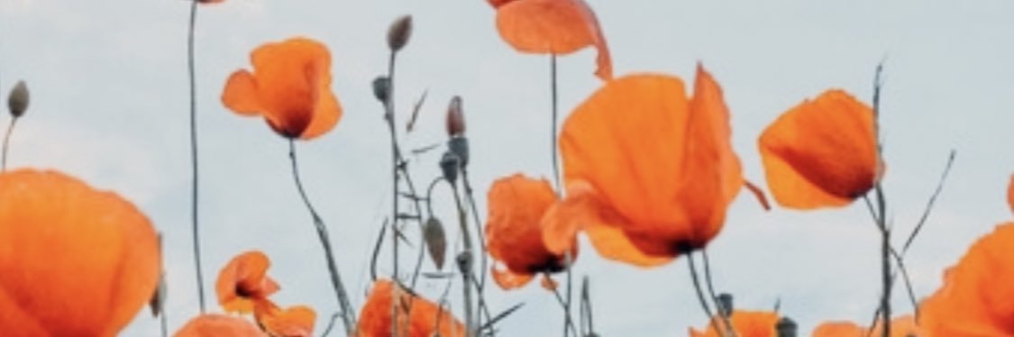 Abbigabbigale's profile banner image