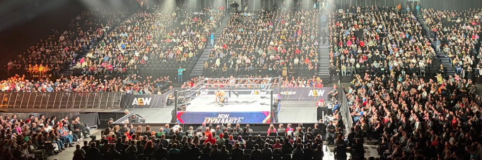 WrestleLive X banner