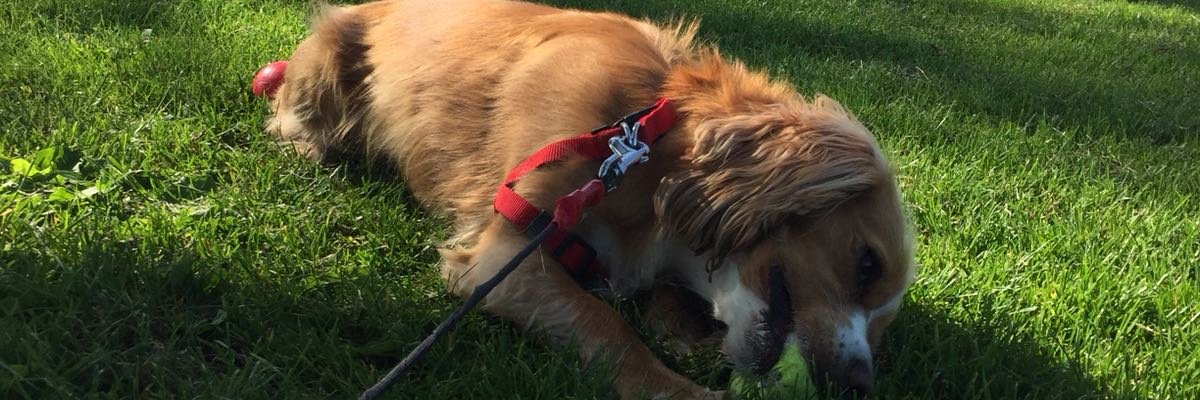robsandy93's profile banner image