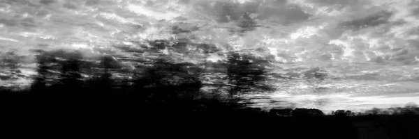 _petalite Profile Banner