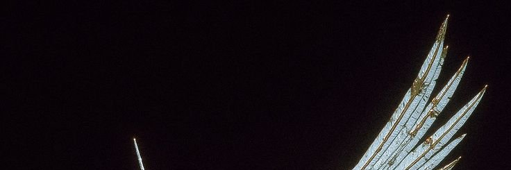 LMitchellllll's profile banner image