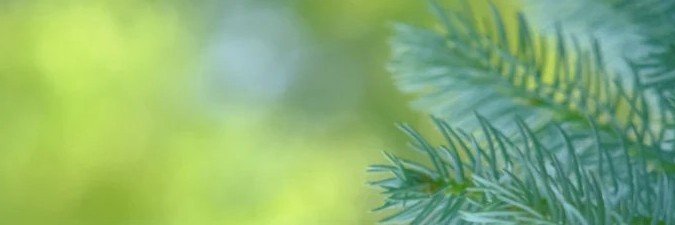 iamrizk's profile banner image