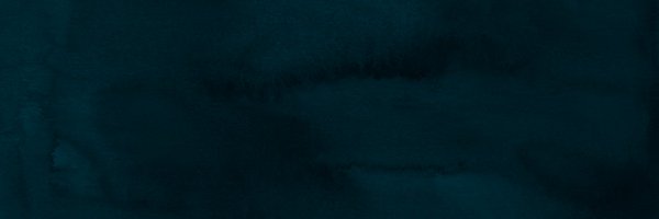wemakewaves Profile Banner