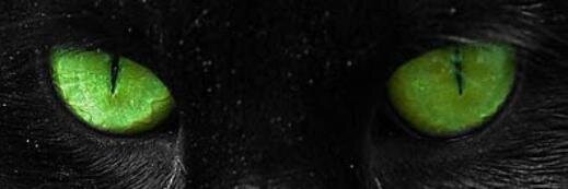 giofacchini's profile banner image