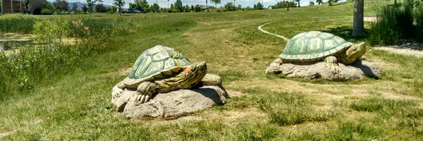 FtCollins Profile Banner