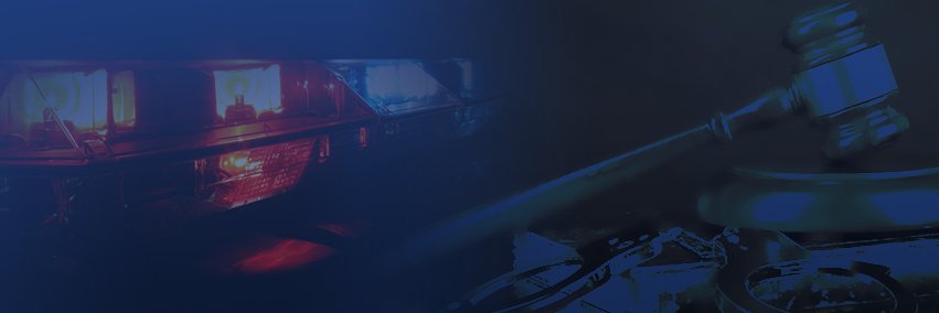 Anne Marie Schubert banner