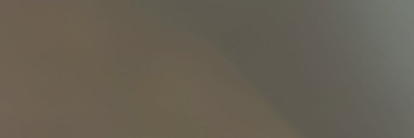 nshuiii Profile Banner